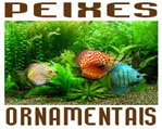 Curso de Aquarismo - Criao de Peixes Ornamentais - Completo.